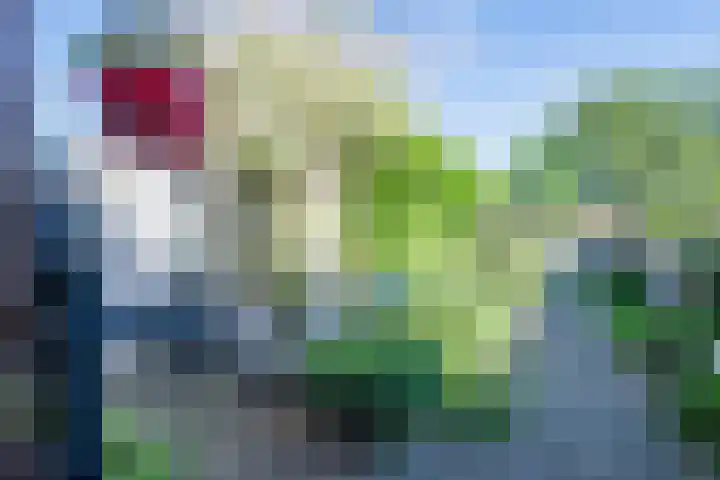 Olympiastraat 8 Landgraaf thumbnail 25