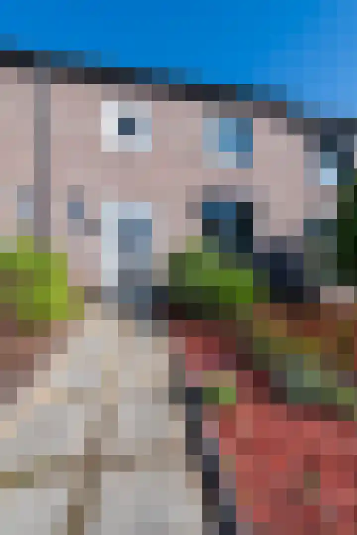 Olympiastraat 8 Landgraaf thumbnail 31