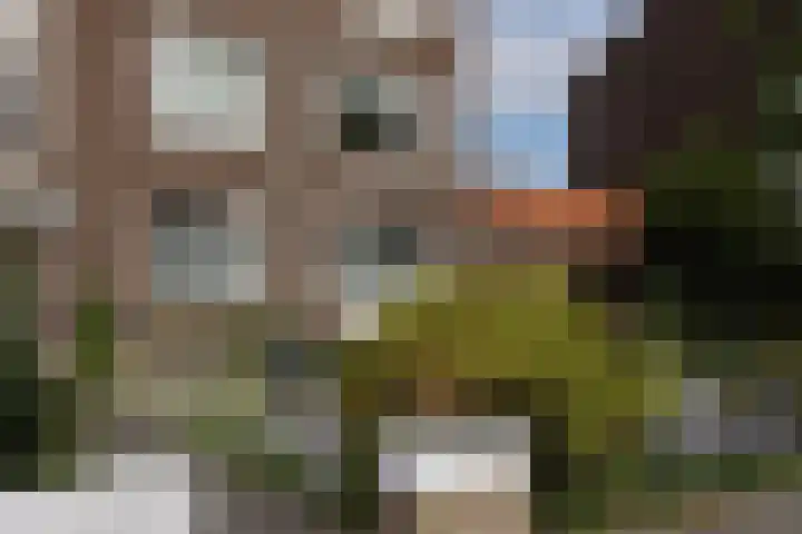 Om de Lande 3 in Enkhuizen