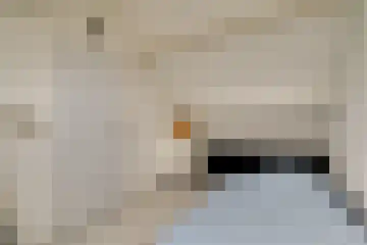 Omdraai 15 Wieringerwerf thumbnail 43