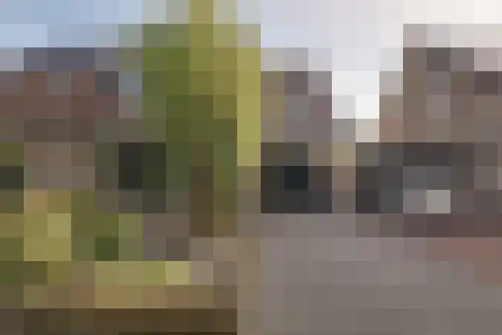 Omdraai 15 Wieringerwerf thumbnail 52