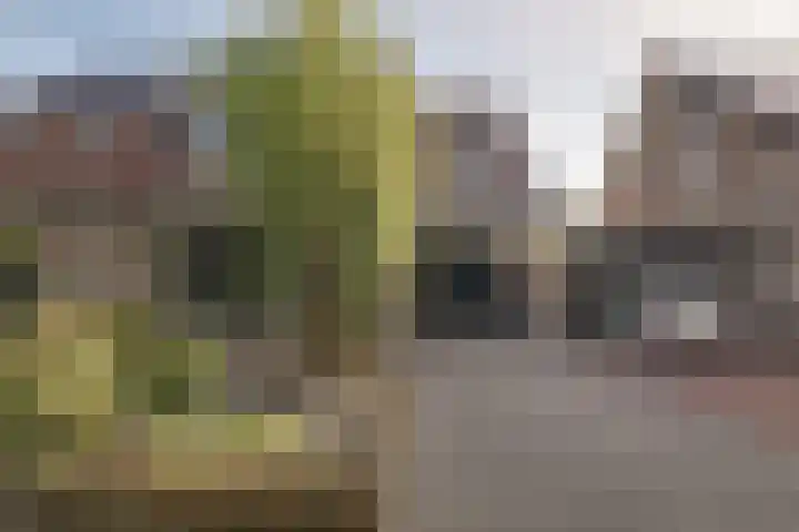 Omdraai 15 Wieringerwerf thumbnail 6