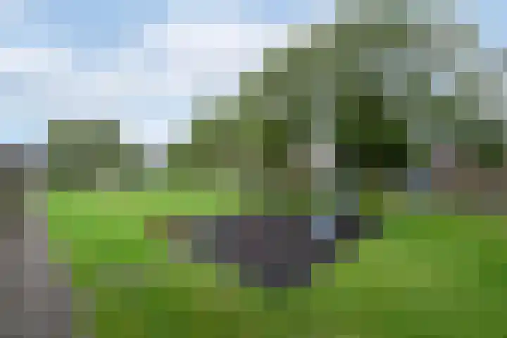 Omgang 18 Wolvega thumbnail 42