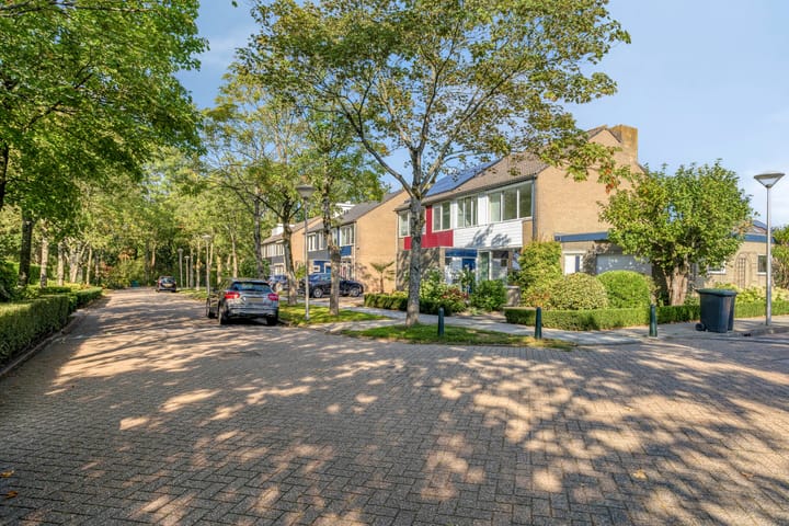 Omloop 11 in Dinteloord foto