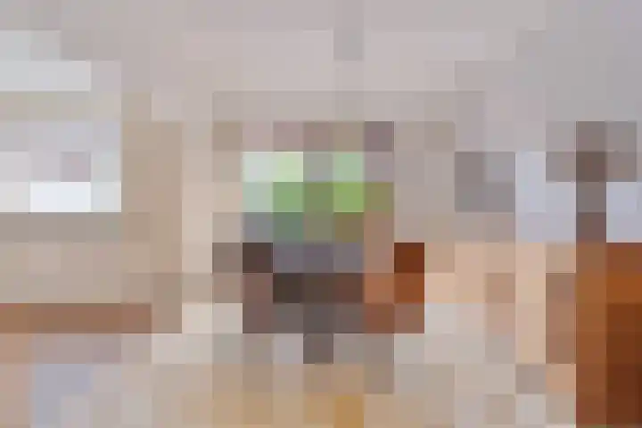 Omloop 16 Strijen thumbnail 10