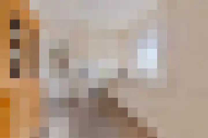 Omloop 16 Strijen thumbnail 13