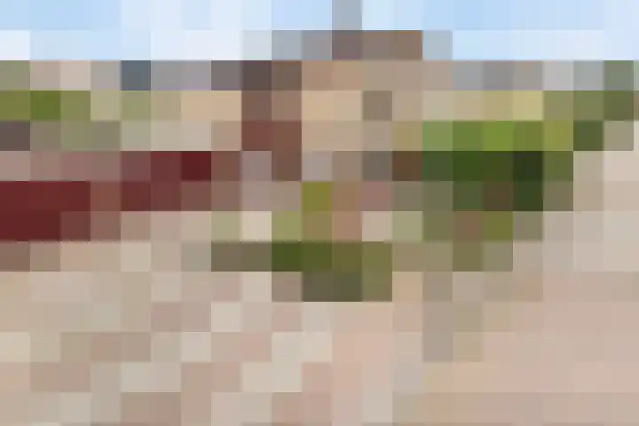 Omloop 16 Strijen foto 2