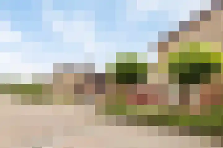 Omloop 16 Strijen thumbnail 25