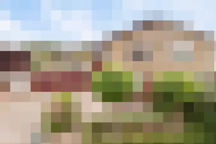 Omloop 16 Strijen thumbnail 26