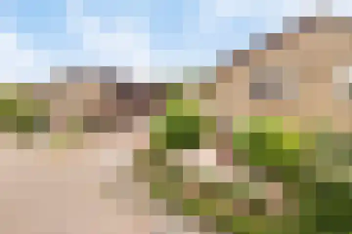 Omloop 16 Strijen thumbnail 27