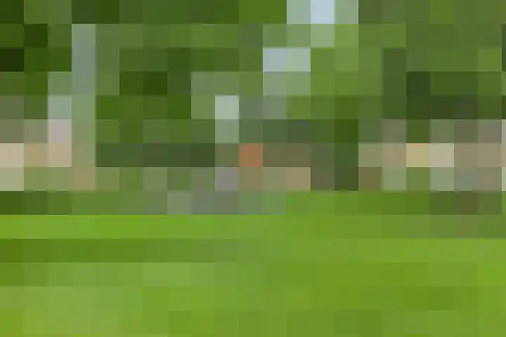 Omloop 16 Strijen thumbnail 28