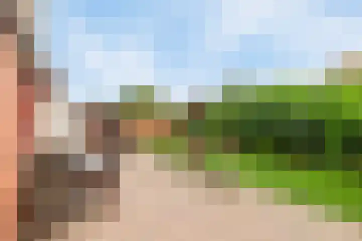 Omloop 16 Strijen foto 3