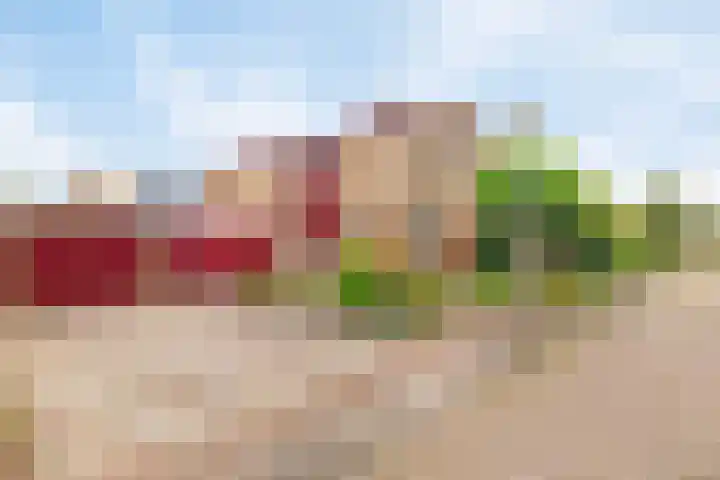 Omloop 16 Strijen thumbnail 4