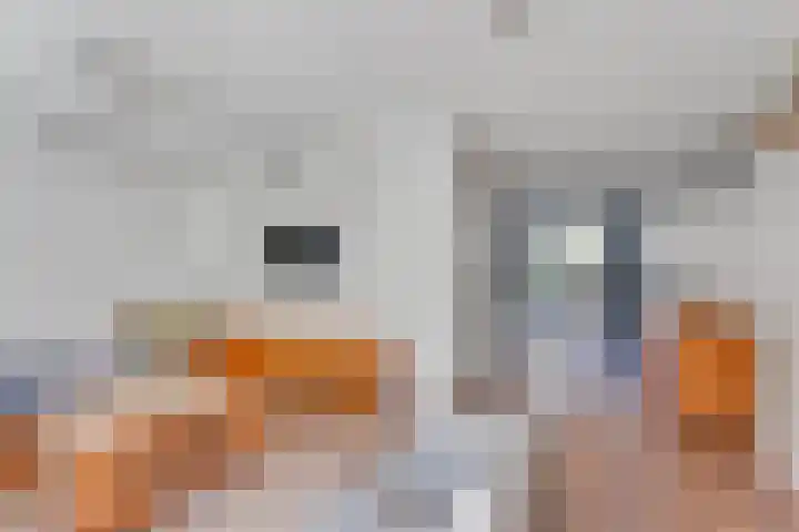 Omloop 17 Elburg thumbnail 13