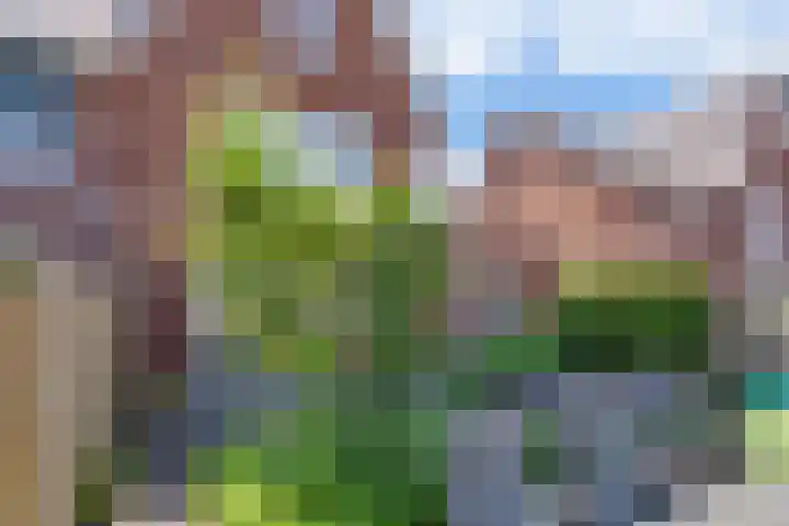 Omloop 17 Elburg thumbnail 50