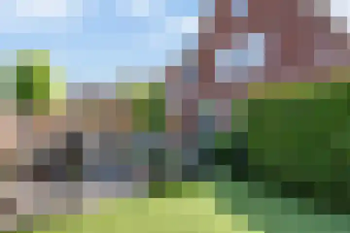 Omloop 17 Elburg thumbnail 52