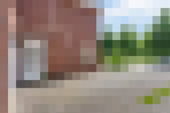 Omloop 17 Elburg thumbnail 6