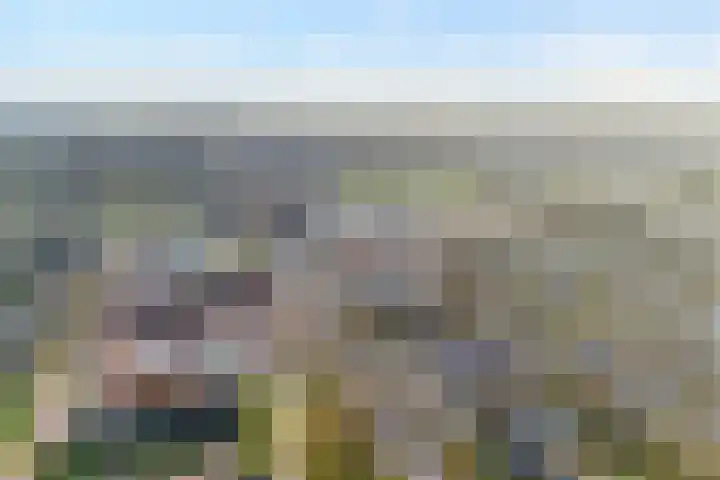 Omloop 32 Nieuwleusen thumbnail 14