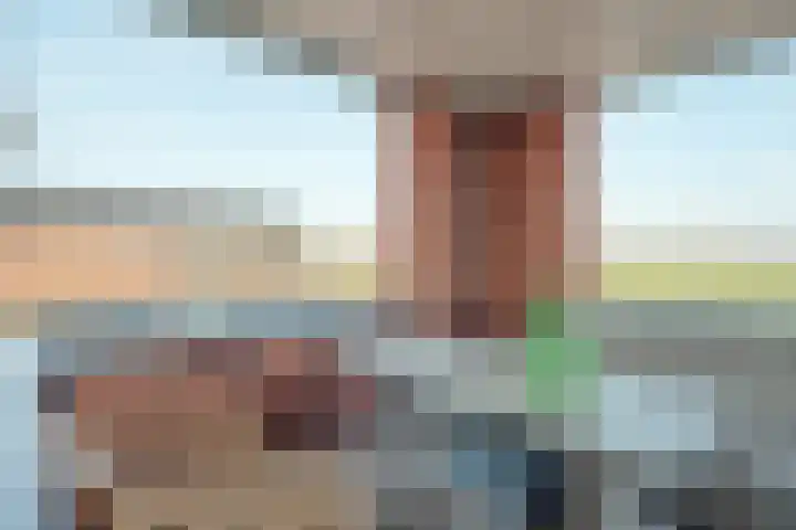 Omloop 32 Nieuwleusen thumbnail 49