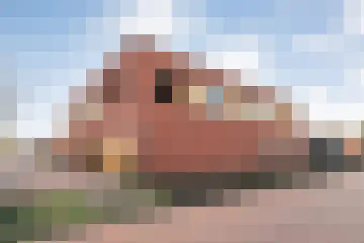 Omloop 32 Nieuwleusen thumbnail 60