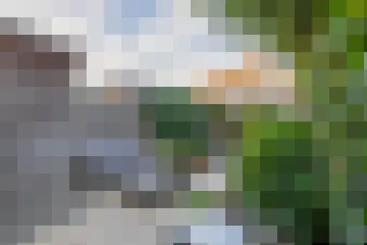 Omloop 32 Waddinxveen thumbnail 18