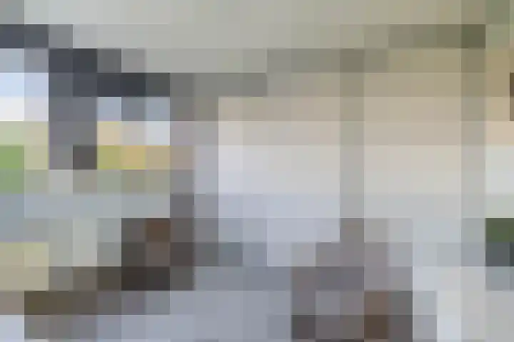 Omloop 32 Waddinxveen thumbnail 25