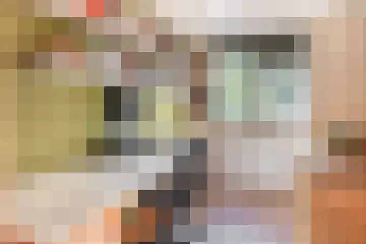 Omloop 32 Waddinxveen thumbnail 29