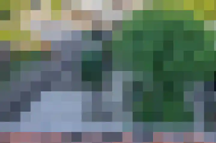 Omloop 32 Waddinxveen thumbnail 36