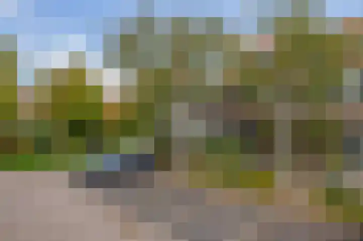 Omloop 32 Waddinxveen thumbnail 5