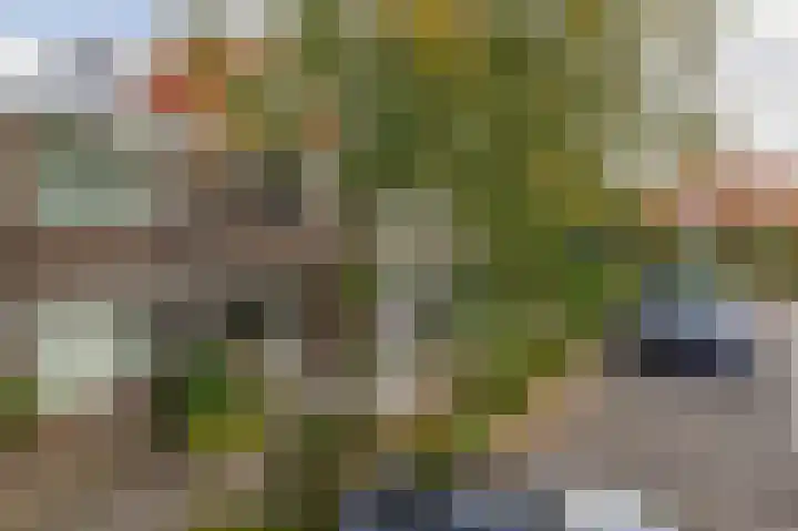 Omloop 32 Waddinxveen thumbnail 6