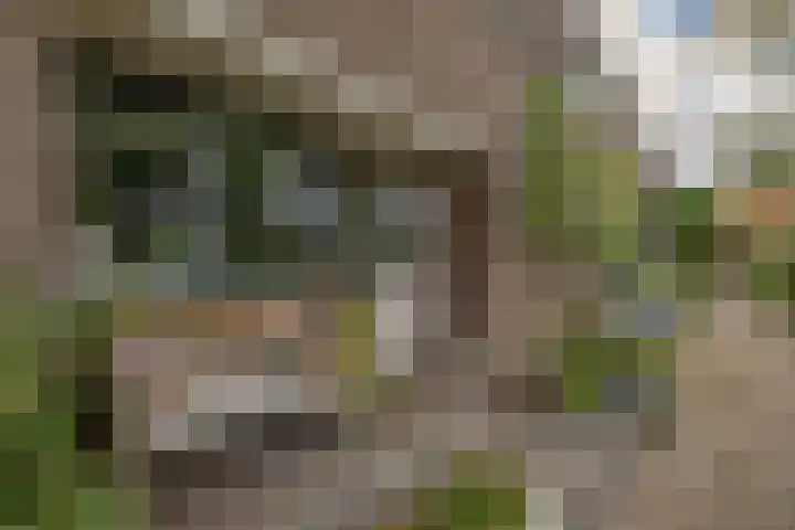 Omloop 32 Waddinxveen thumbnail 7