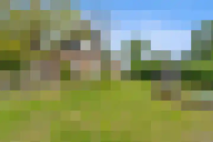 Omloop 41 Schoorl thumbnail 10