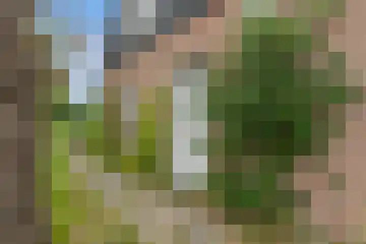 Omloop 41 Schoorl thumbnail 11