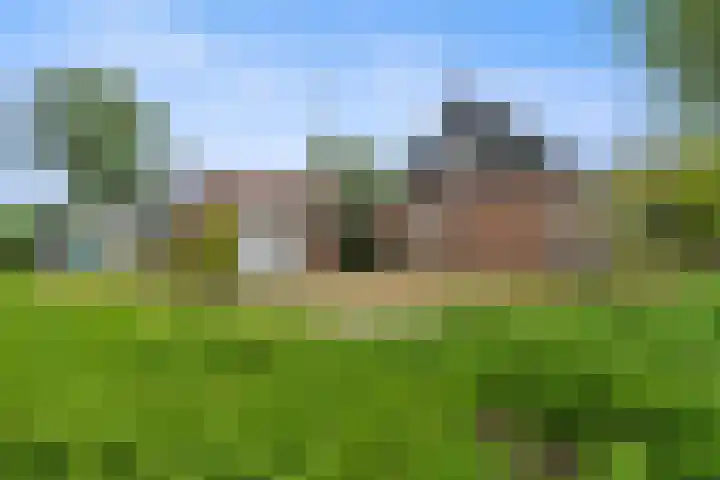 Omloop 41 Schoorl foto 2