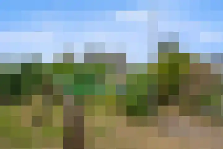 Omloop 41 Schoorl thumbnail 28