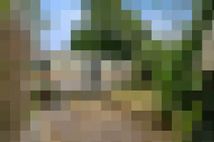 Omloop 41 Schoorl thumbnail 29