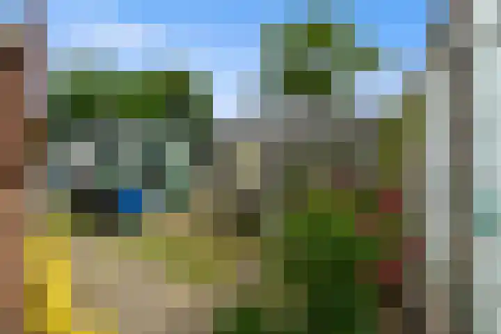 Omloop 41 Schoorl thumbnail 30