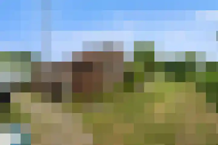 Omloop 41 Schoorl thumbnail 32