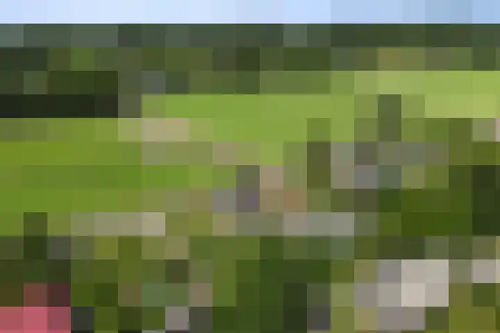 Omloop 41 Schoorl thumbnail 33