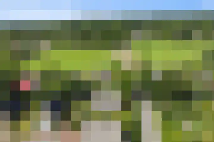 Omloop 41 Schoorl thumbnail 36