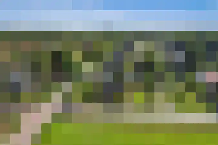 Omloop 41 Schoorl thumbnail 37