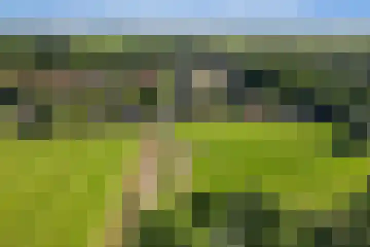 Omloop 41 Schoorl thumbnail 38