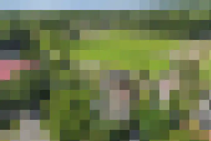 Omloop 41 Schoorl thumbnail 39