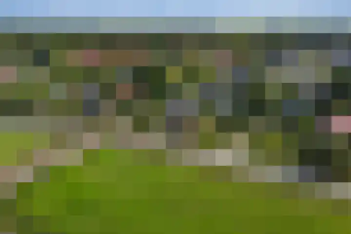 Omloop 41 Schoorl thumbnail 40