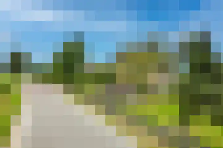 Omloop 41 Schoorl thumbnail 41