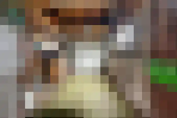 Omloop 41 Schoorl thumbnail 5