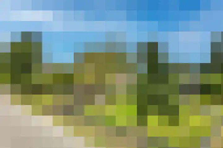 Omloop 41 Schoorl thumbnail 50