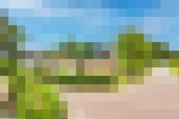 Omloop 41 Schoorl thumbnail 7