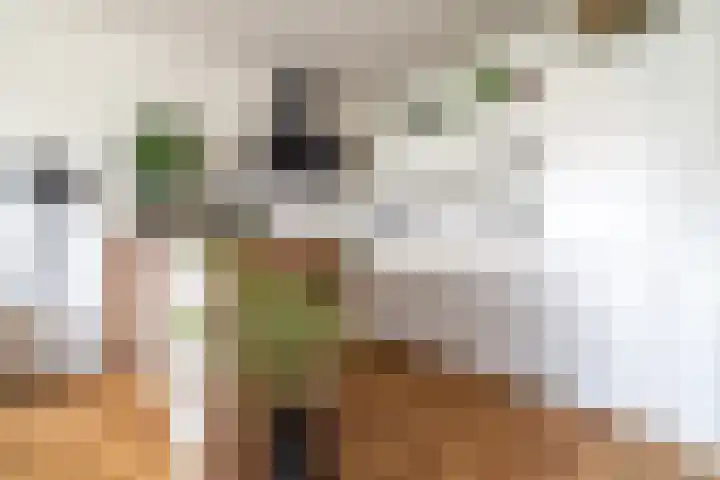 Ommedijk 105 Leiderdorp thumbnail 18