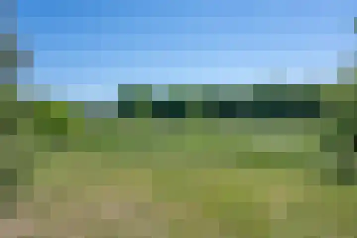 Ommedijk 105 Leiderdorp thumbnail 22